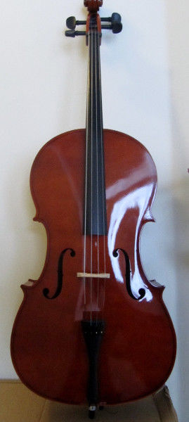 cello 2015.jpg